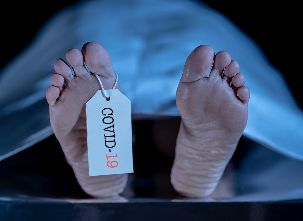 America surpasses 500,000 Covid-19 deaths