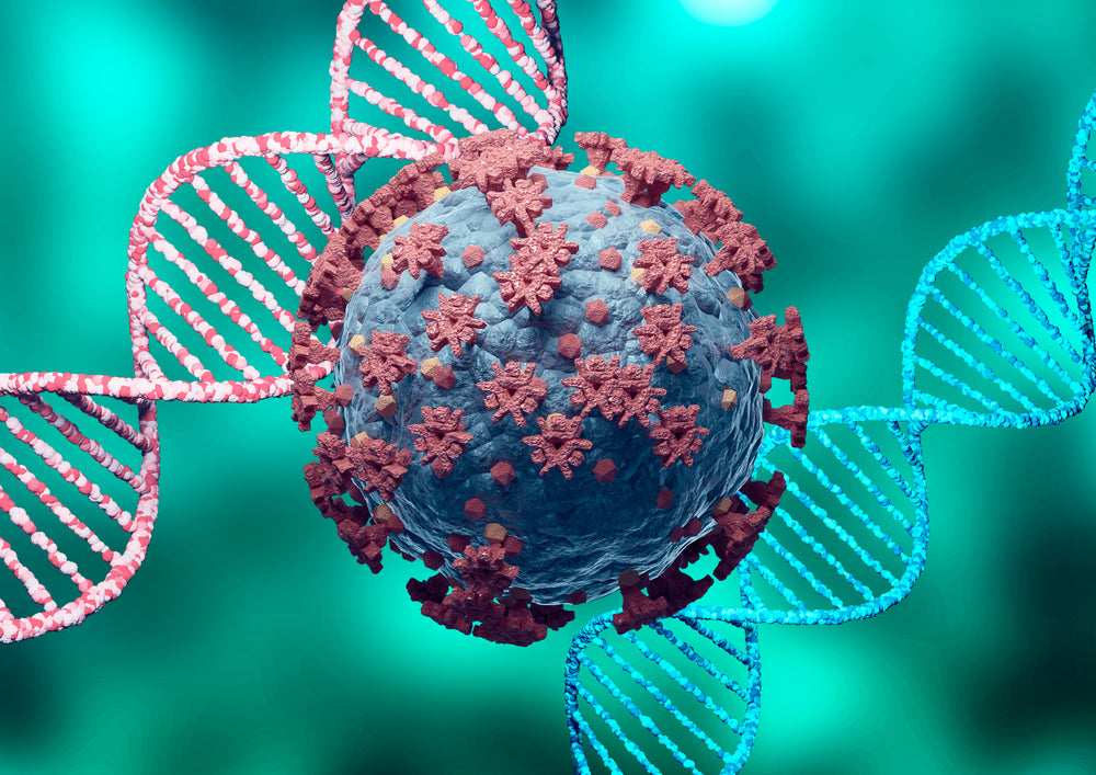 Covid-19: New variant is HUGELY more transmissible